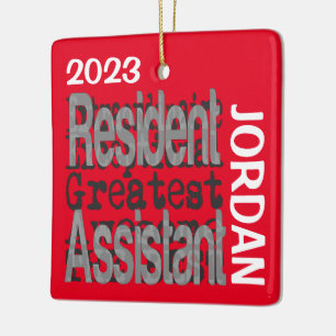 Ornamento De Cerâmica Assistente Residente Extraordinário CUSTOM