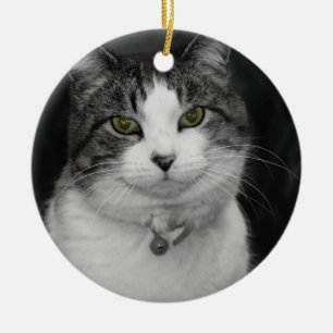 Ornamento De Cerâmica Atreve-se a Olhar nos Meus Olhos Verdes