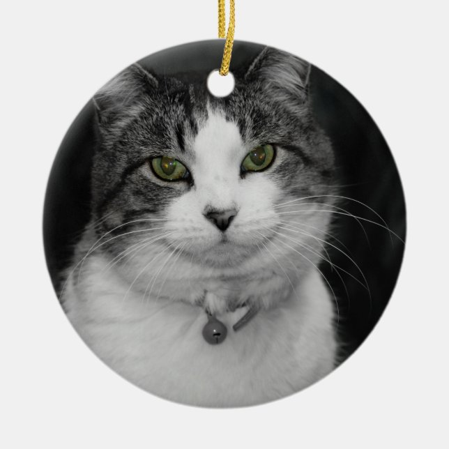 Ornamento De Cerâmica Atrevo-me a olhar nos meus olhos verdes (Frente)