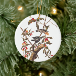 Ornamento De Cerâmica Audubon Downy Woodpecker Pair