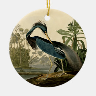 Ornamento De Cerâmica Audubon Louisiana Heron Birds América Art