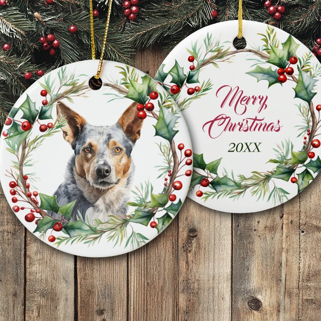 Ornamento De Cerâmica Australian Cattle Dog in Holly Twig Wreath (Criador carregado)