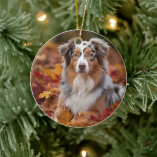 Ornamento De Cerâmica Australian Shepherd no Outono Folhas Caídas Inspir