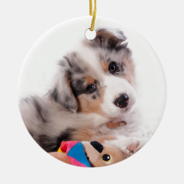 Ornamento De Cerâmica Australian shepherd puppy (Frente)