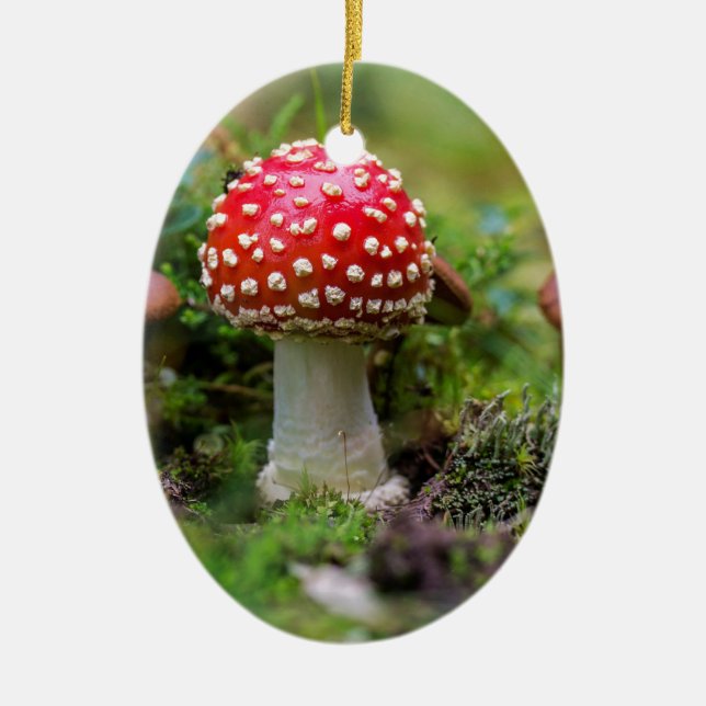 Ornamento De Cerâmica Autumn Beauty (Frente)