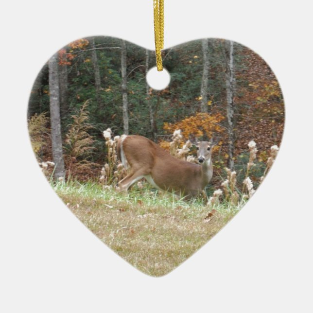 Ornamento De Cerâmica Autumn Deer no lago Arrohouad GA (Frente)