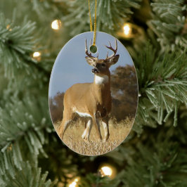 Ornamento De Cerâmica Autumn Whitetail Buck