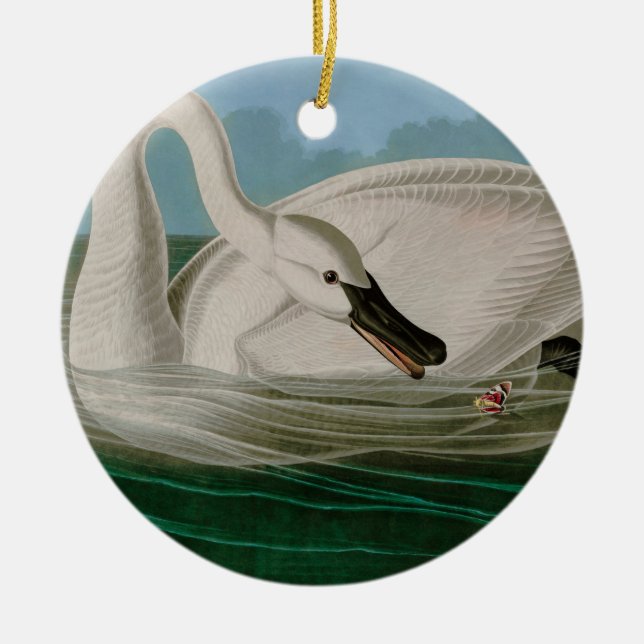 Ornamento De Cerâmica Aves do Cisne da América - Impressão de Audubon (Frente)