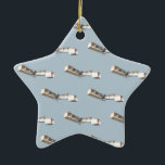 Ornamento De Cerâmica Avião Santos-Dumont 14-Bis<br><div class="desc">Avião Alberto Santos-Dumont 14-Bis. Padrão exclusivo baseado em um cartão postal francês.</div>
