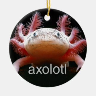 Ornamento De Cerâmica Axolotl do Axolotl do Axolotl do Axolotl