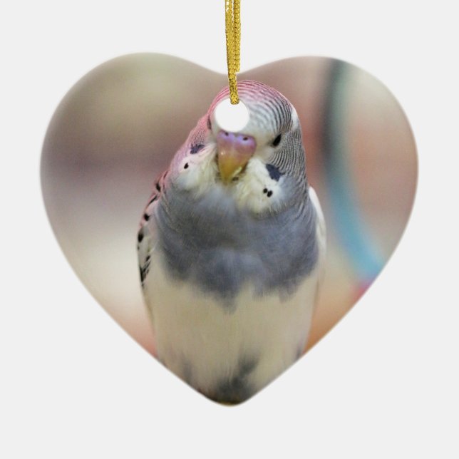 Ornamento De Cerâmica Azul (Frente)