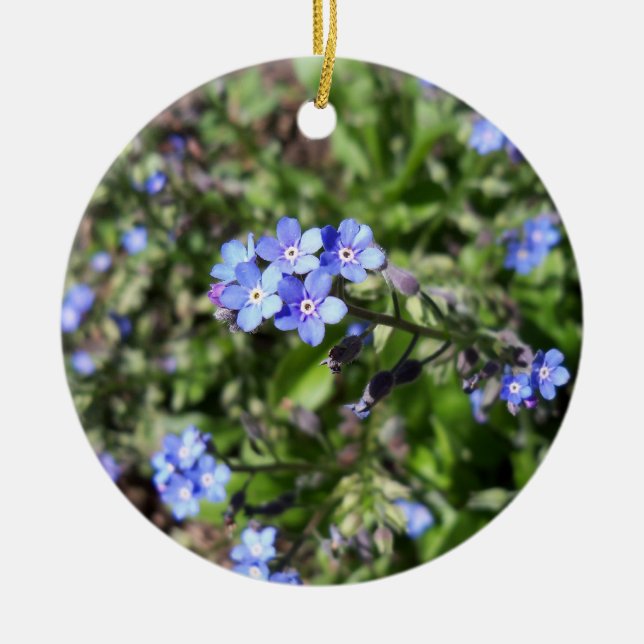 Ornamento De Cerâmica Azul Esqueça-me Não Ornado (Frente)