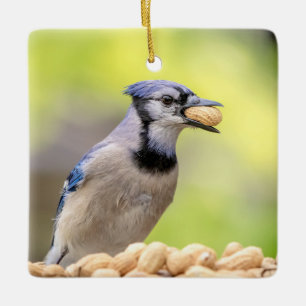 Ornamento De Cerâmica Azul jay com um amendoim