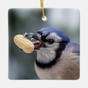 Ornamento De Cerâmica Azul jay com um amendoim