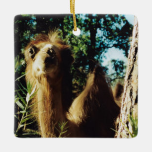 Ornamento De Cerâmica Baba Pacífica