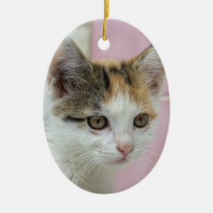 Ornamento De Cerâmica Baby Calico
