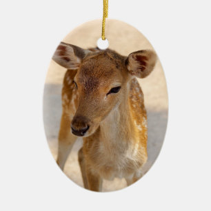 Ornamento De Cerâmica Baby Deer