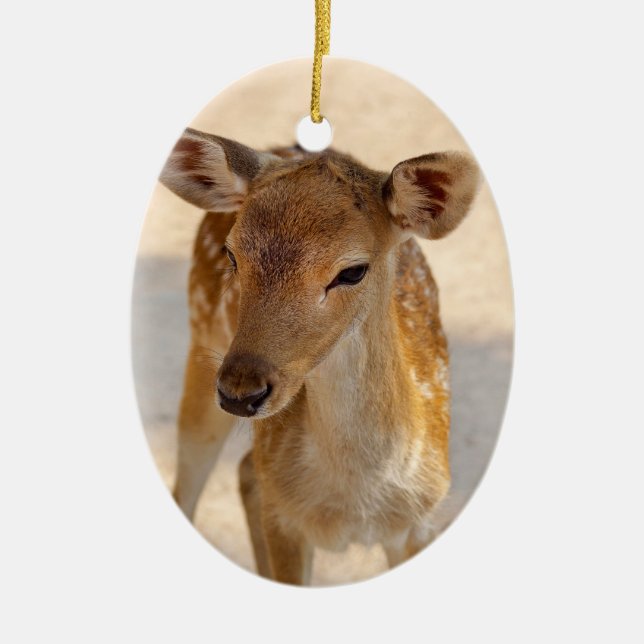 Ornamento De Cerâmica Baby Deer (Frente)