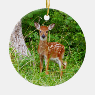 Ornamento De Cerâmica Baby Deer in the Woods Nature Fotografia