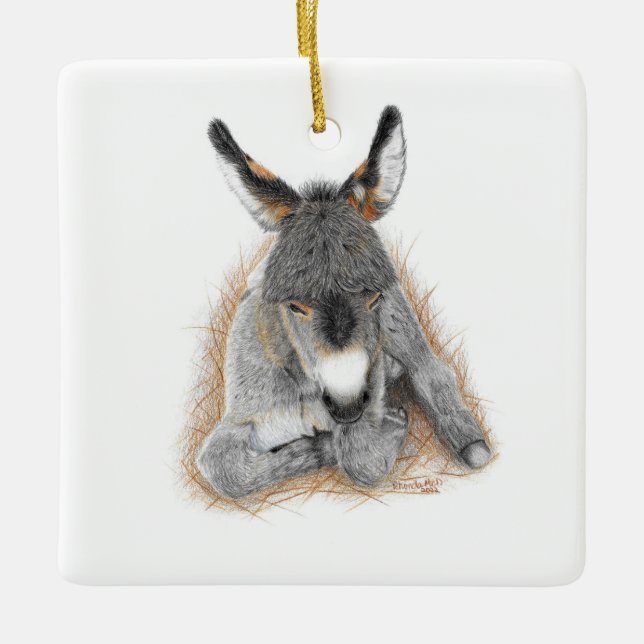 Ornamento De Cerâmica Baby Donkey Ornament (Frente)