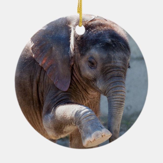 Ornamento De Cerâmica Baby Elephant (Traseira)