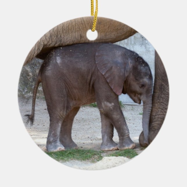 Ornamento De Cerâmica Baby Elephant (Frente)