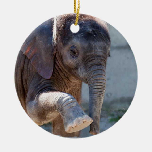 Ornamento De Cerâmica Baby Elephant (Frente)