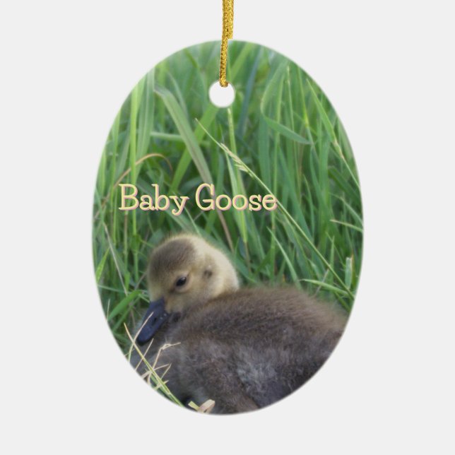 Ornamento De Cerâmica Baby Goose Ornament (Frente)
