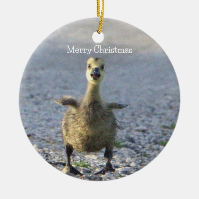 Ornamento De Cerâmica Baby Goose Ornament (Frente)