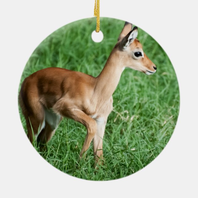 Ornamento De Cerâmica Baby Impala (Traseira)