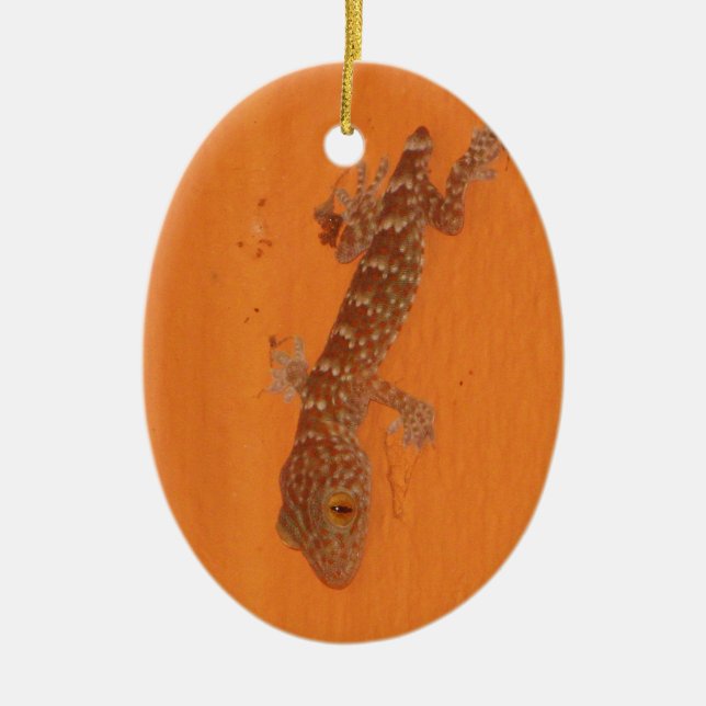 Ornamento De Cerâmica Baby Tokay Gecko (Frente)