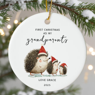 Ornamento De Cerâmica Baby's First Christmas As My Grandparents Hedgehog