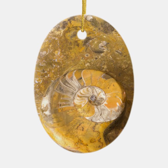 Ornamento De Cerâmica Bacia cinzelada feita dos fósseis na foto do close (Frente)