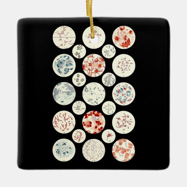 Ornamento De Cerâmica bactéria engraçada microbiologia bactéria ciência  (Frente)