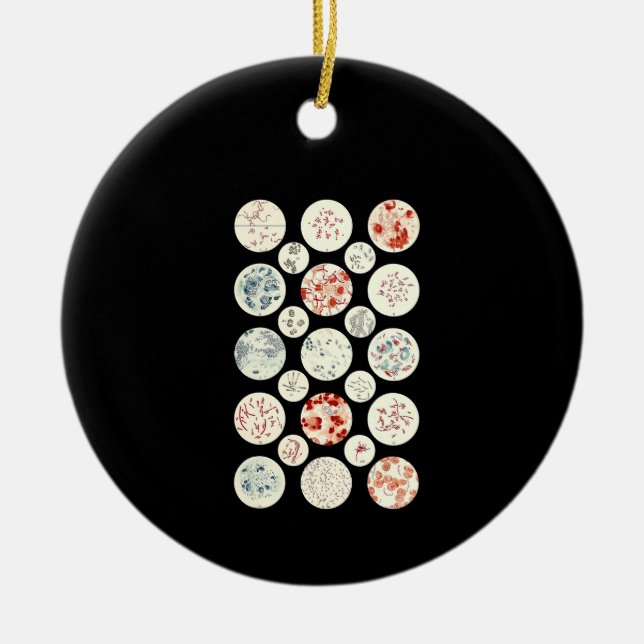 Ornamento De Cerâmica bactéria engraçada microbiologia bactéria ciência  (Frente)