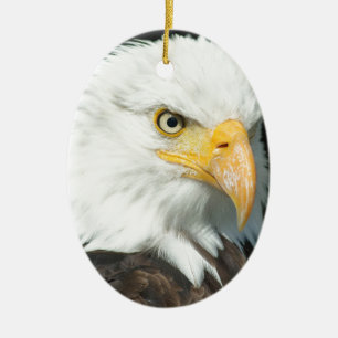 Ornamento De Cerâmica Bald Eagle