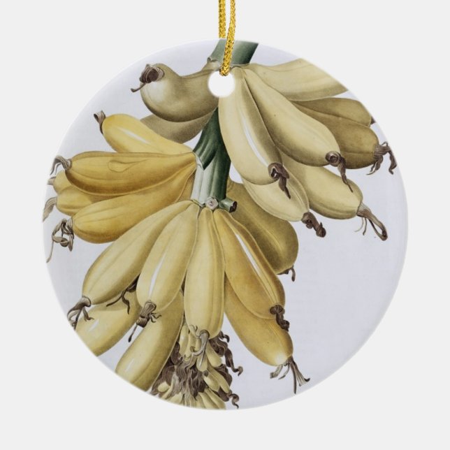 Ornamento De Cerâmica Banana, 1816 (Frente)