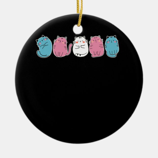 Ornamento De Cerâmica Bandeja Transgênero Cat LGBT Comunidade Trans Cu (Frente)