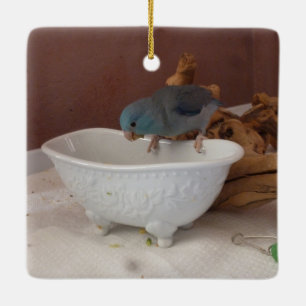 Ornamento De Cerâmica Banho de Parrotlet