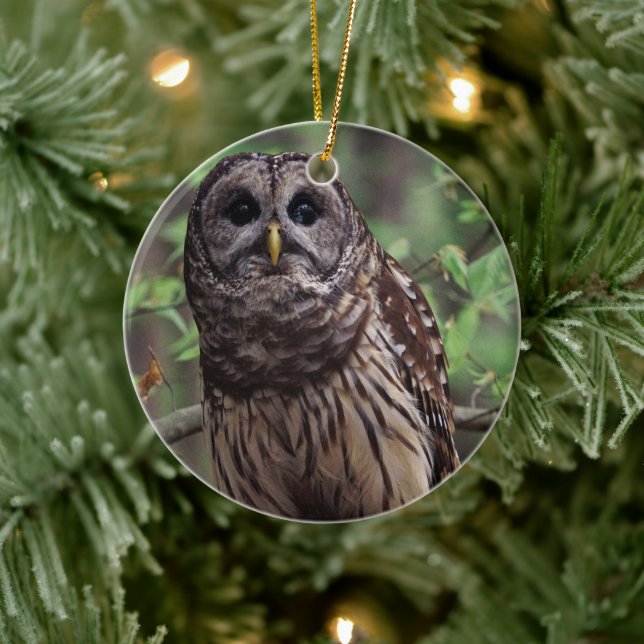 Ornamento De Cerâmica Barred Owl (Árvore)