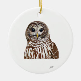 Ornamento De Cerâmica Barred Owl