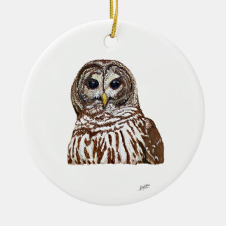 Ornamento De Cerâmica Barred Owl