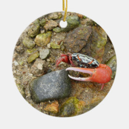 Ornamento De Cerâmica Beach Fiddler crab