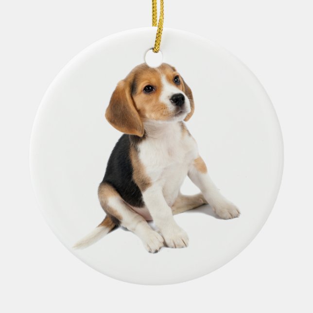 Ornamento De Cerâmica Beagle Puppy (Frente)