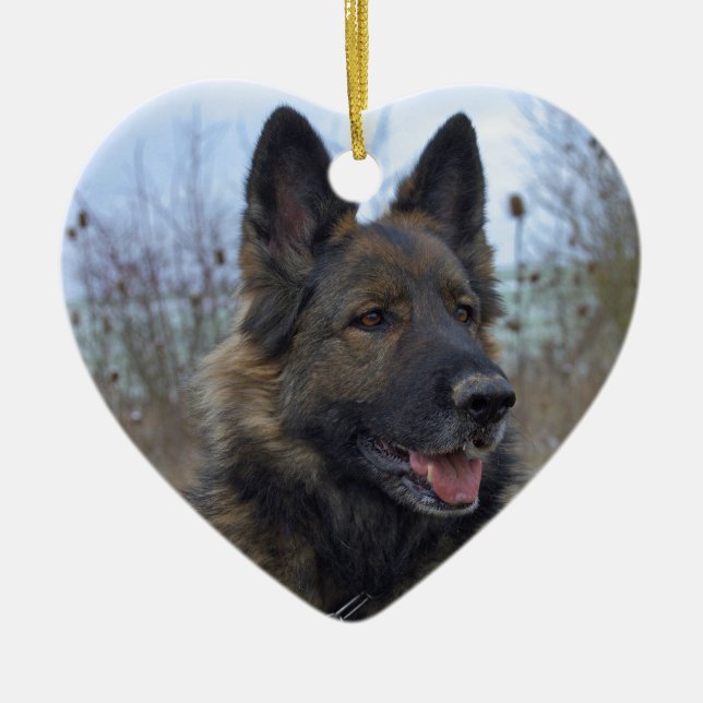 Ornamento De Cerâmica beautiful black and tan German Shepherd puppy (Frente)