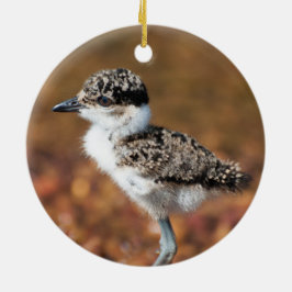 Ornamento De Cerâmica Bebê