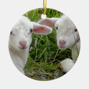 Ornamento De Cerâmica Bebê Animal Cordeiro Gêmeo Pensando Em Você