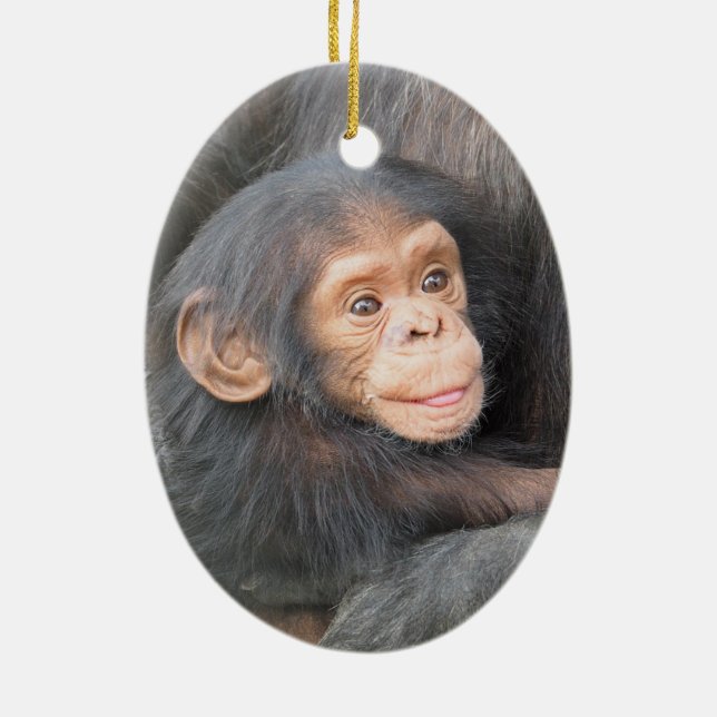 Ornamento De Cerâmica Bebê Chimpanzé (Verso)