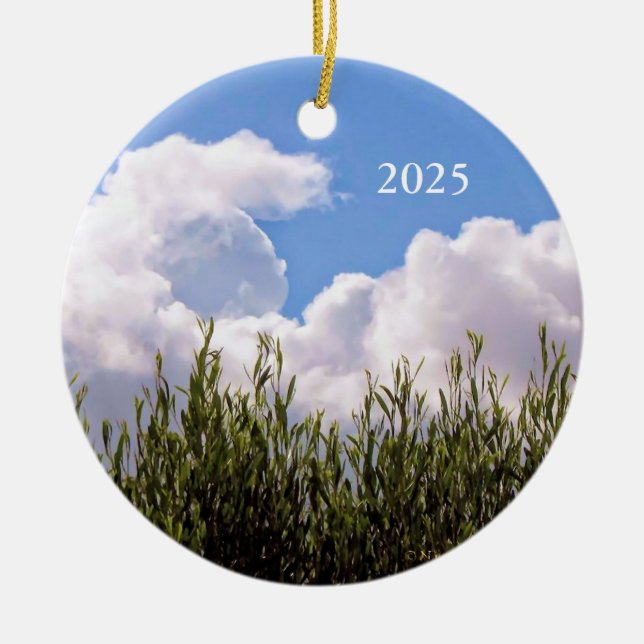 Ornamento De Cerâmica Bebê cósmico (Frente)