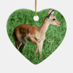 Ornamento De Cerâmica Bebê impala